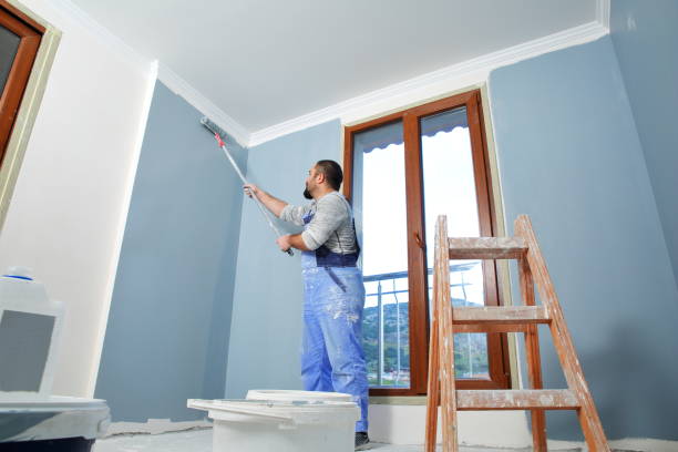 Best Environmental Consulting for Mold Prevention  in Mentor On The Lake, OH