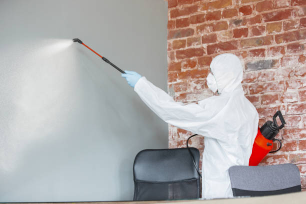 Best Residential Mold Inspection & Testing  in Mentor On The Lake, OH